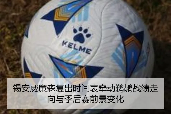锡安威廉森复出时间表牵动鹈鹕战绩走向与季后赛前景变化