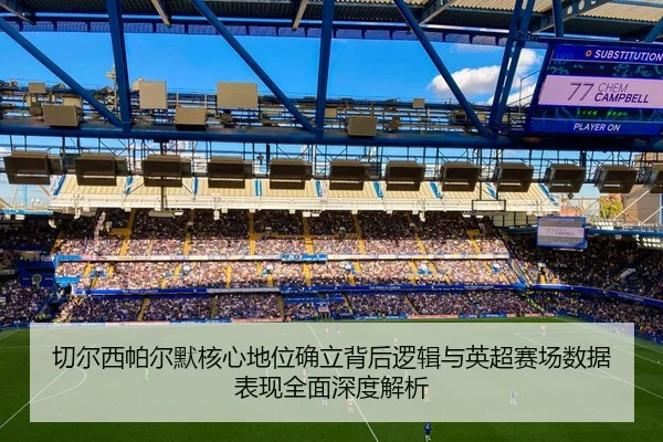 切尔西帕尔默核心地位确立背后逻辑与英超赛场数据表现全面深度解析 | aoko
