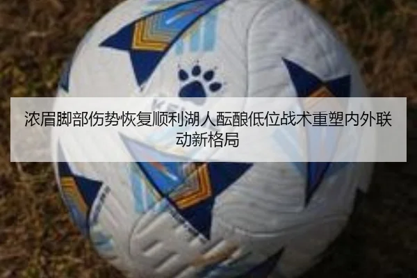 浓眉脚部伤势恢复顺利湖人酝酿低位战术重塑内外联动新格局 - aoko